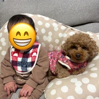 画像341